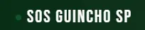 Guincho em São Paulo 24 Horas